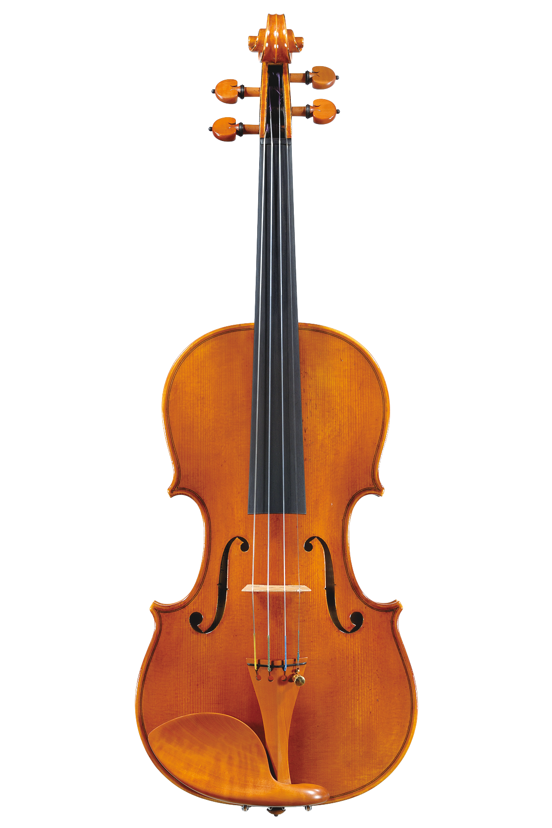image1.png