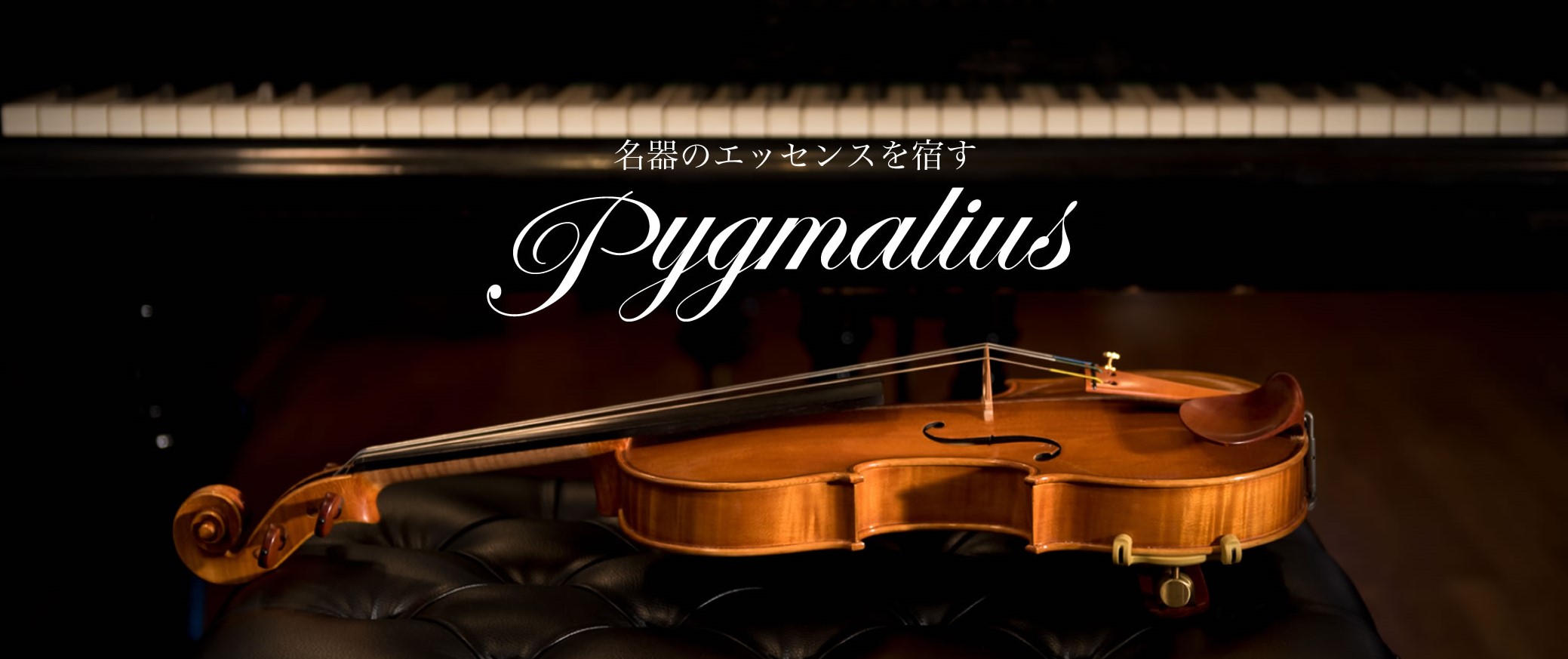 ピグマリウス｜バイオリン専門店の文京楽器