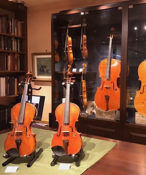 特別展示 Ⅱ：フレンチボウのDNA｜バイオリン専門店の文京楽器